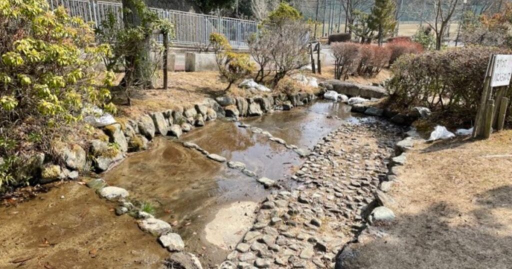忍頂寺スポーツ公園　水遊び